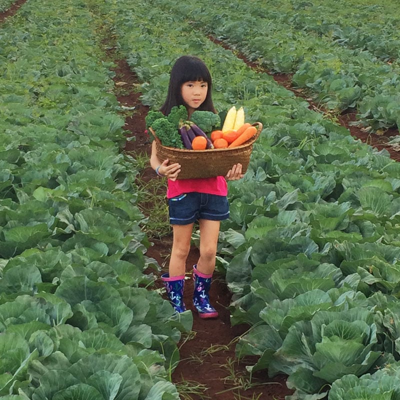 Arabella Basket Photoshoot Cover Kids Now Photo Christi Young