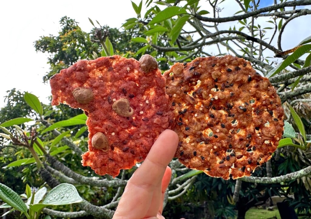 hand holding a pair of florentine cookies against tropical greenery