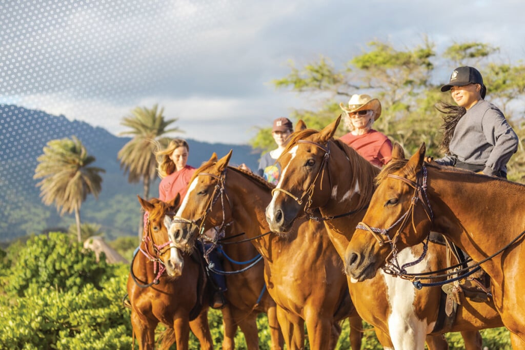 Best Of Honolulu Family North Shore Stables Courtesy Of North Shore Stables