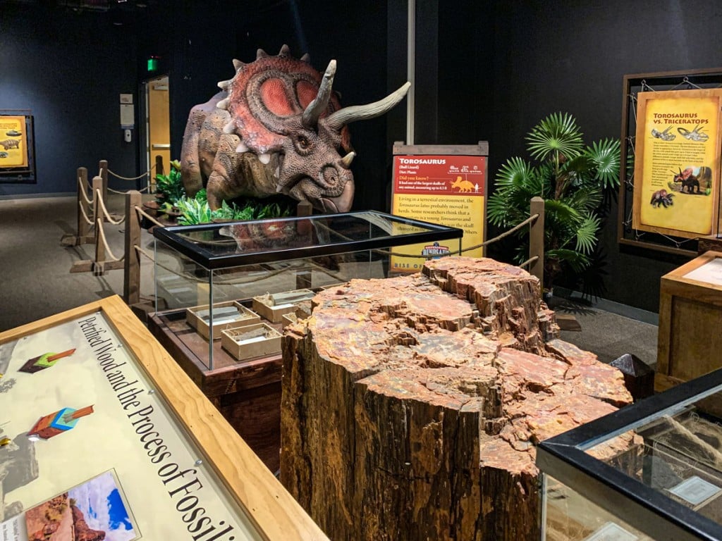 Expedition Dinosaurs Exhibit Photo Bishop Museum