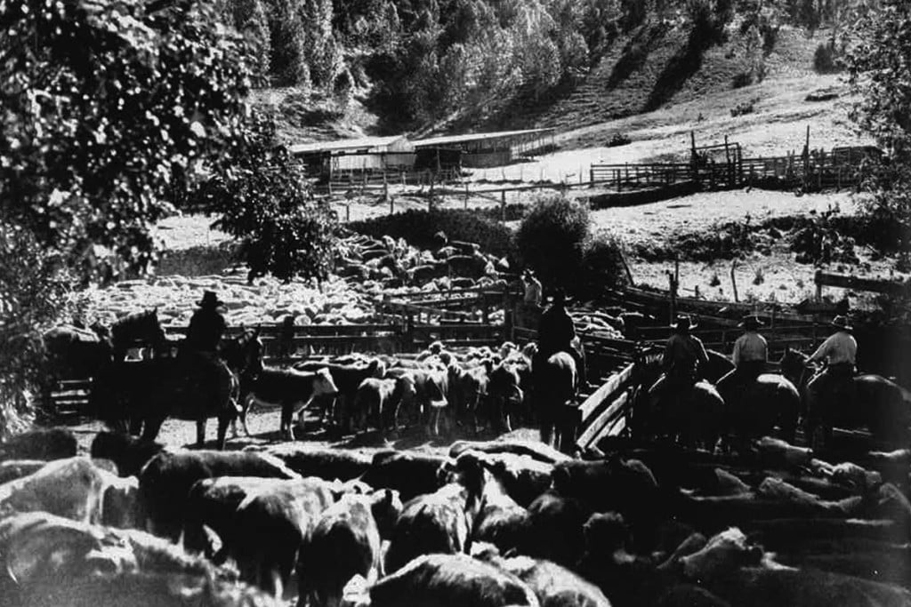 Fof 1957 Cowboys