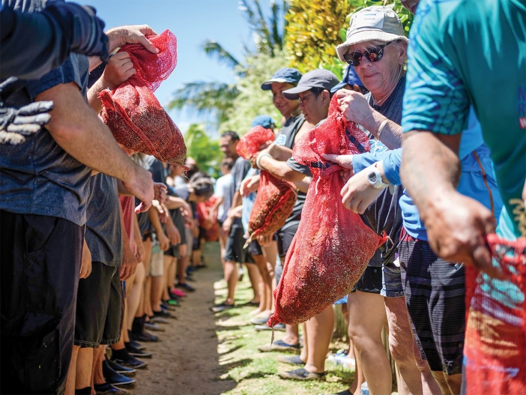 Honolulu Earth Day Volunteer Opportunities Hawaii