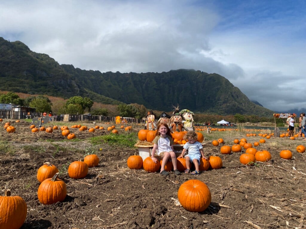 Waimanalo Country Farms Fall Harvest Festival
