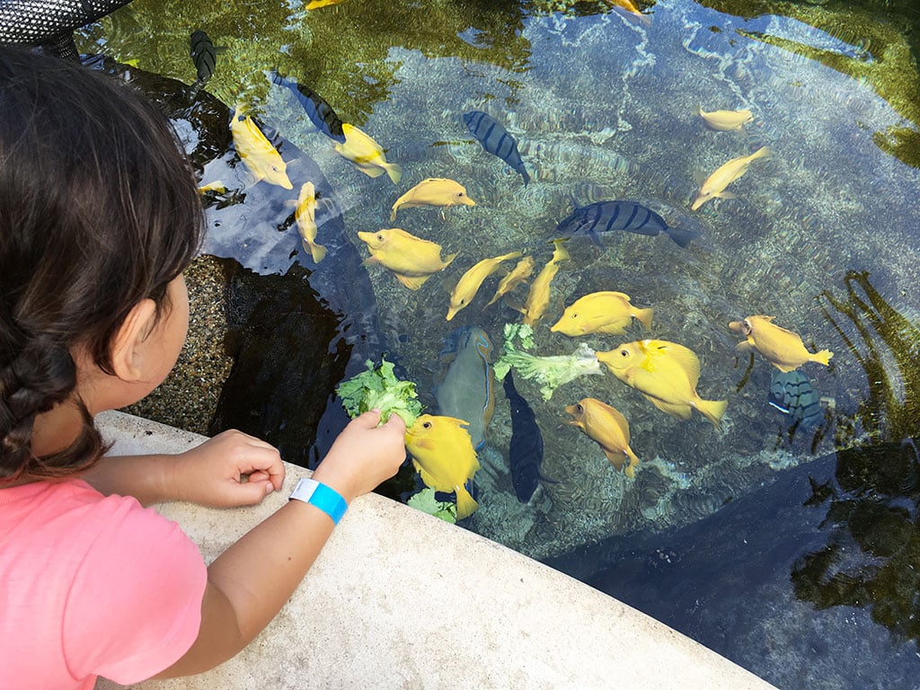 Sea Life Park