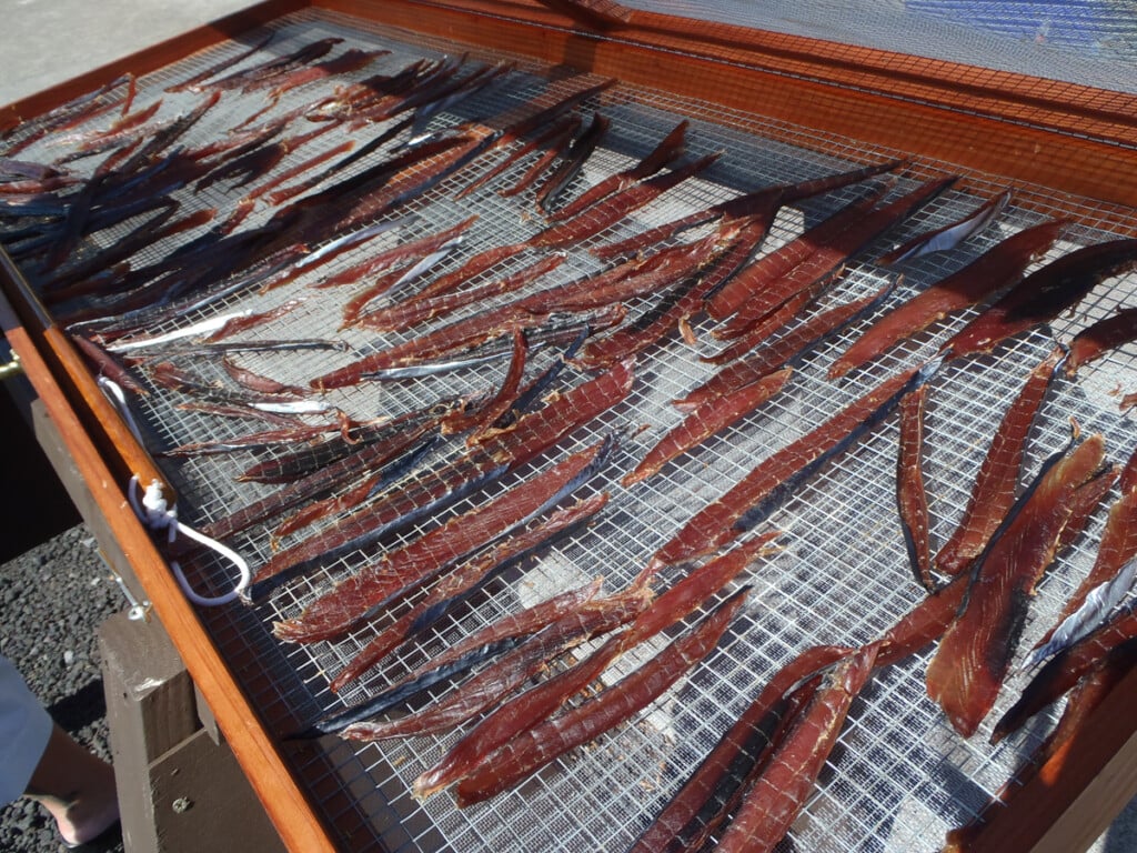 Dried Aku Or Tuna On A Rack.