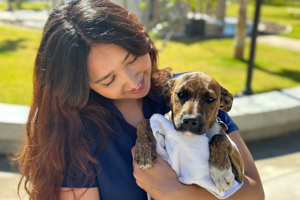 Sydney Sears With Bindi Girl The Puppy 1