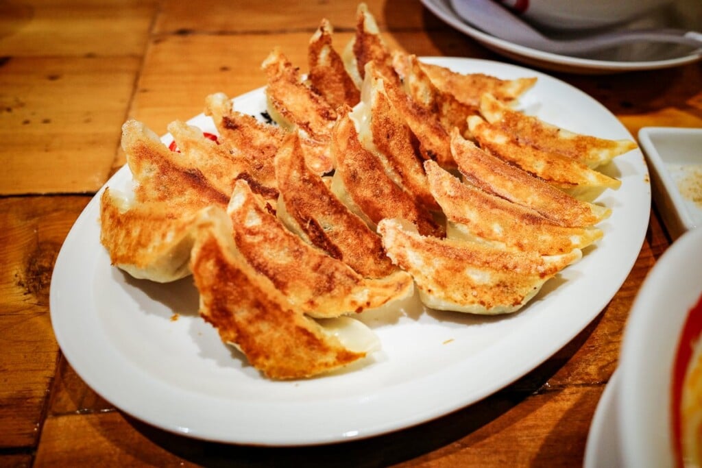 20 gyoza lined up on a plate