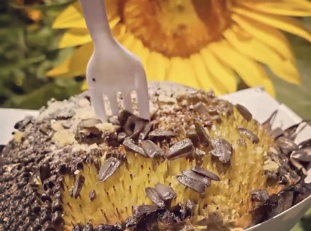 Waimanalo Country Farms Grilled Sunflower Head Courtesy Wcf