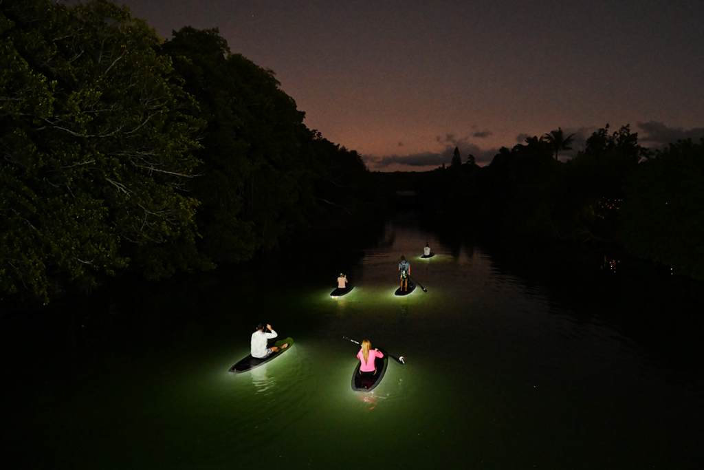 Kealohi Surf Led Stand Up Paddleboard Tour Night