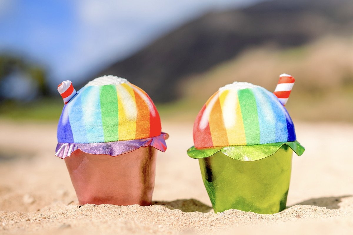 two shave ice plushie dog toys on a beach