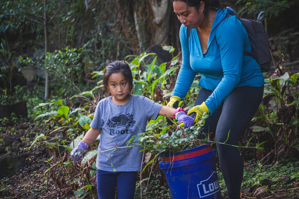 Waimea Valley Volunteer